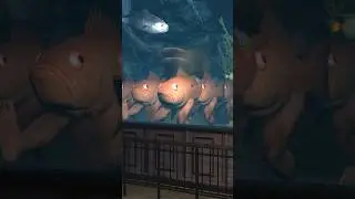 The Fish 13