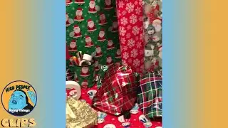 A Very Merry Christmas to You | High People Doing Things