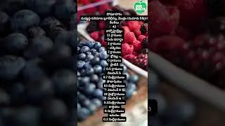 బ్లూబెర్రీ పోషక విలువలు/Blueberries Nutrient Values