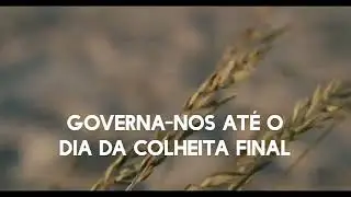 Trigo que Frutifica