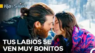 Pocos Tienen La Suerte De Tener Unas Vacaciones De Nieve Así - Pájaro Soñador