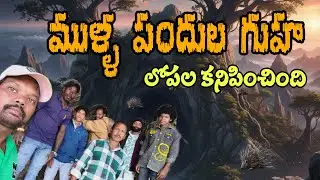 ముళ్ళ పందుల గుహ tribal area Porcupine den#minivlog #trending