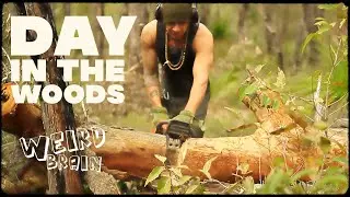 GATHERING FIREWOOD IN PREPARTION FOR WINTER