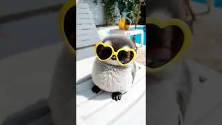 😎 Chubby Baby Penguin Chilling by the Pool 🐧🩷| Cute Summer Vibes #shorts #summer #penguin #new