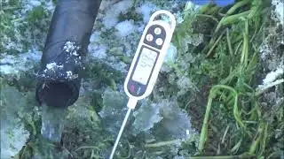 Полив в условиях мороза. Декабрь 2025