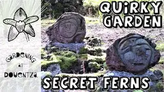 Quirky Garden & Secret Ferns - Quinta das Rosas : 12 of 13