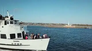 Cruise San Diego Ohana demo - AnerdFilms Co