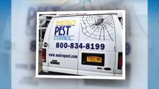 Pest Control | Queens, NY -- Metro Pest Control