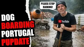 Pupdate On Our Go Fund Me And Dog Boarding Project In Portugal
