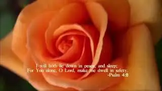 Quietime In The Garden - Peaceful Relaxing Instrumental Hymns on Piano by Eric Nordhoff