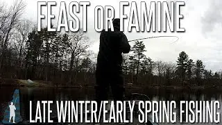 Ice Out Bass Fishing is Feast or Famine