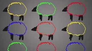Sheep Nation