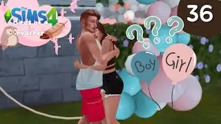 Es wird ein &hellip; | Sims 4 Birds of a Feather | Part 36