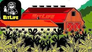 BITLIFE DEALER UPDATE IS HEREEE!!!!