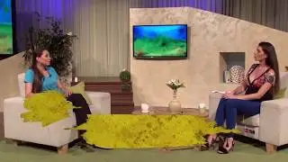 Kaj vse zmorejo rjave morske alge? Jelena Dimitrijević
