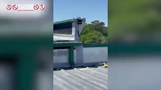 Feather Fighters Wildlife Removal - Seagull Control