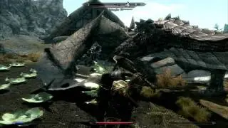 Skyrim : Epic fight against two dragons HD