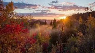 Acoustic Background 432HZ Peaceful Meditation Music
