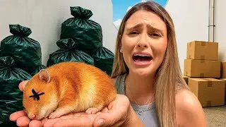 NOSSO HAMSTER ENCONTRADO NO LIXO NÃO ESTÁ BEM!