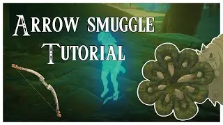 How to setup Arrow Smuggle in Tears of the Kingdom Any% (1.2.1)
