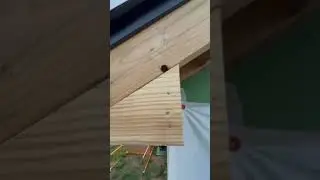DIY debt free home build - framing bird boxes