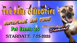 THE PAWS OBJECTIVE   HOMEMADE DOG FOOD