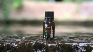 Epoch Essential Oils with Dr  Paul Cox extended version