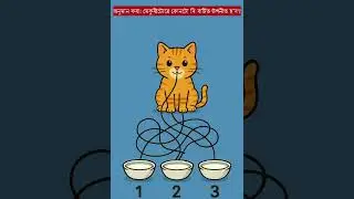 Cat & Milk Bowl Maze Challenge! 🥛