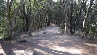操山
