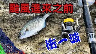 #藻餌磯釣#東北角#馬崗#夏天的白毛