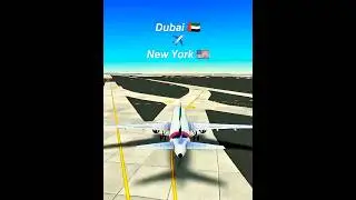 Dubai🇦🇪 ✈️ New York🇺🇸(Smooth Landing🥱) #aviation#nevergiveup#dubai