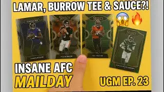 $10 Mailday Might Be My Best QB Haul EVER &ndash;Lamar&rsquo;s Loose, Tee&rsquo;s Turnt, Sauce is SPICY,& Burrow&rsquo;s Icy