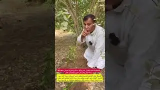 معلومات خطيرة جدا في عمليه شراء الثمر والشتلات وعمل الفطيمة والعقلة والترقيد الهوئي