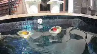 Pool leaks Miami