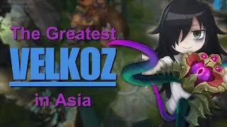 100% WInrate Bel'Veth Support - Why Play Conventional?