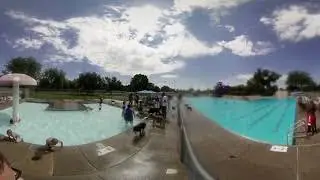 Dog Day at the Pool! 360&deg; VR video in 4K