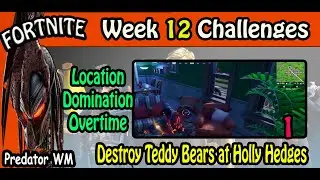 Destroy Teddy Bears at Holly Hedges / Location Domination Overtime Challenges
