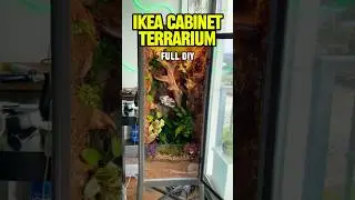DIY Ikea Cabinet Terrarium for Crested Gecko! #ikeahack #ikea #plants #terrarium #vivarium