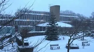 Tuin in de Sneeuw Perelaar