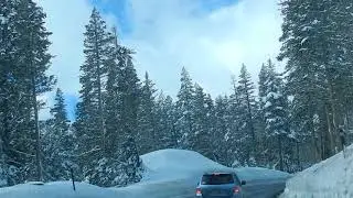Eldorado National forest, Hwy 88 Alpine County,California 2