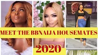 BBNAIJA 2020 LIVE STREAM - LAYCON ENGAGE ERICA| ERICA ENGAGED| MEET THE BBNAIJA LOCKDOWN HOUSEMATES