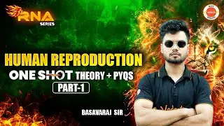 Human reproduction- One shot- Theory + PYQs | NEET 2025 BIOLOGY | Basavaraj Sir