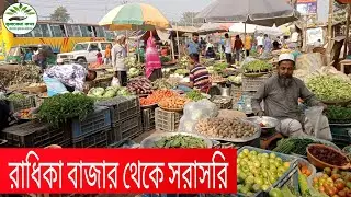 শীতের দিনের গ্রাম্য হাটের সার্বিক পরিস্থিতি | Village market in Bangladesh