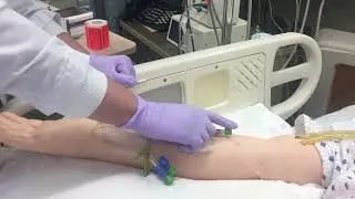 IVP/Bolus Medication Administration through a Peripheral Line