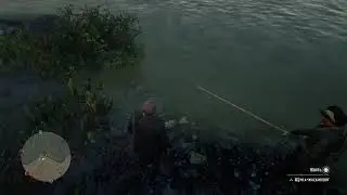 RDO community