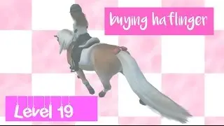 SSO|| Buying a haflinger + level 19