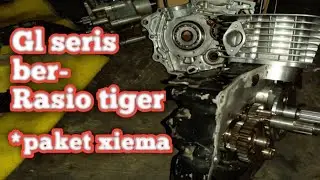 CARA MERAKIT MESIN KRENGKES TENGAH GL SERIS RASIO TIGER