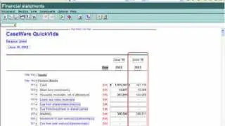 GAAP Financials: Working in the Financial Statements - Quarterly Reporting