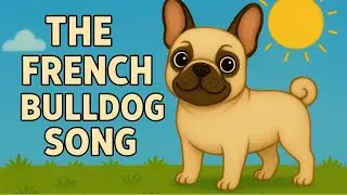 The French Bulldog Song | Cutest French Bulldog Video on YouTube