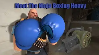 Meet The Ninja Boxing Heavy !